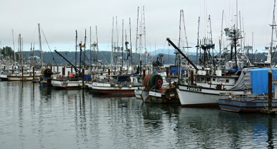 Newport Harbor, Oregon