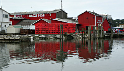 Jessie's Ilwaco Fish Company