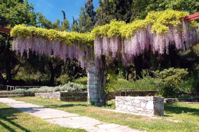 BOTANICAL  GARDEN  DIOMIDOUS ...