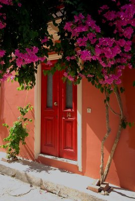 TRADITIONAL   DOOR ...