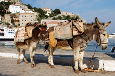 HYDRA  ISLAND ...