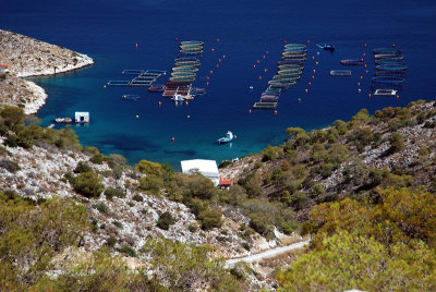 SALAMINA ...