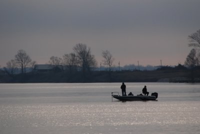 silhouette