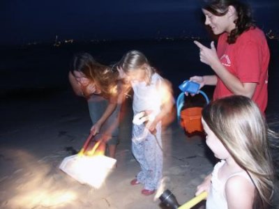 hunting for sand crabs