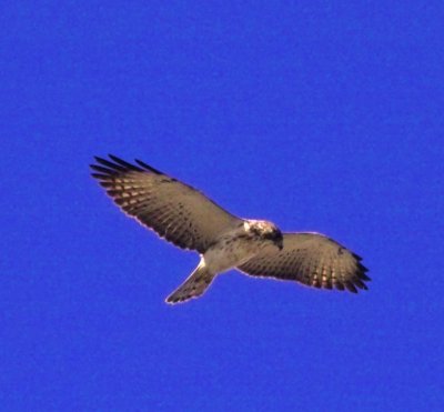 g6/24/630724/3/75937306.2eLP3aW2.jpg