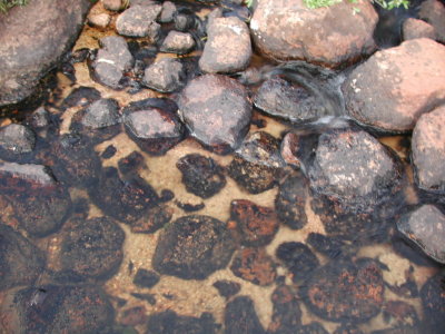 Fish Creek Stones.JPG