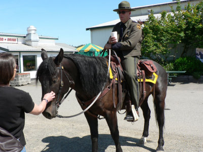 Border Patrol on Mustang