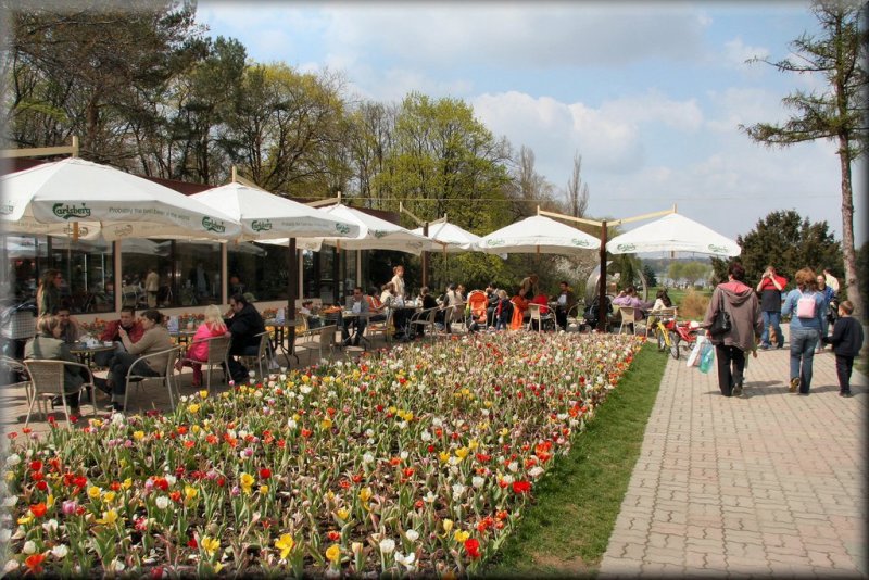 A day in the park - Herastrau Park
