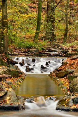 Taunus