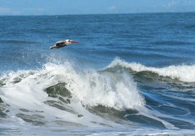 Moss Landing 108crpss2.jpg