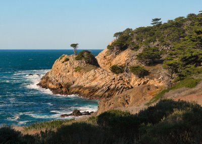 Point Lobos 120esrcrp.jpg