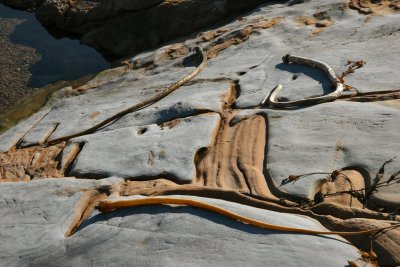Point Lobos 190es.jpg