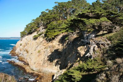 Point Lobos 110es2.jpg