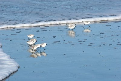 Moss Landing 140p.jpg