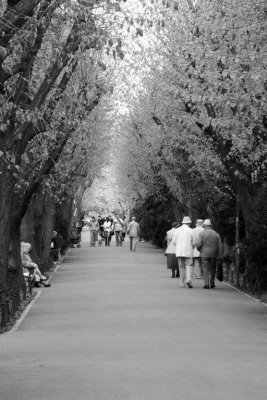 Cismigiu Gardens, Bucharest