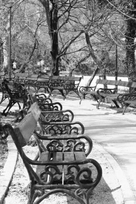 Bucharest Benches