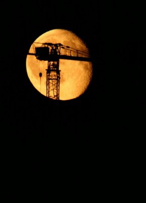 Crane in front of the moon
