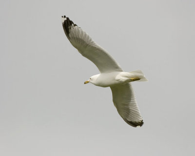 IMG_6249.1.jpg