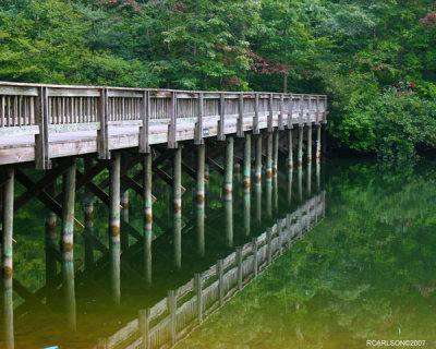 bridge_0043.jpg