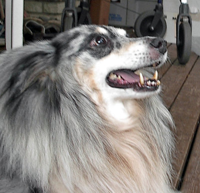 Billy 014_edited.jpg