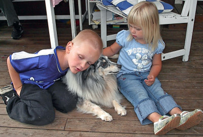 S*Conspirol Sky Boy/ Billy/Shetland Sheepdog