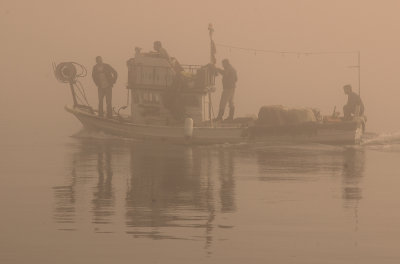 fishermen in the fogy  sea