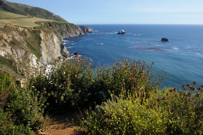 Coastal View