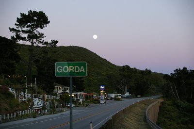 Gonzo Gorda