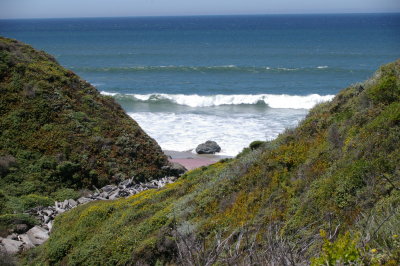 Andrew Molera Loop