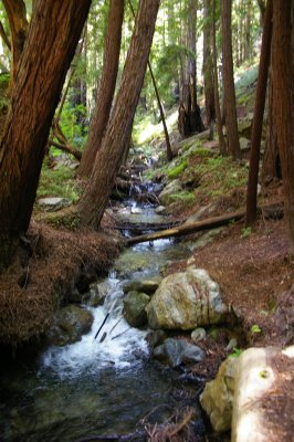 Ewoldsen Trail