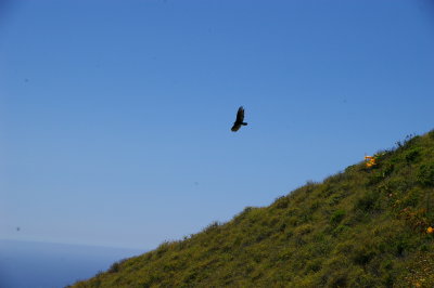 Ewoldsen Trail