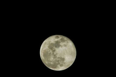 Moonrise Feb 2
