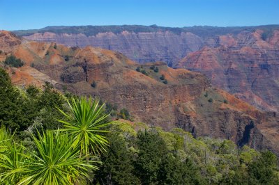 Waimea Canyon