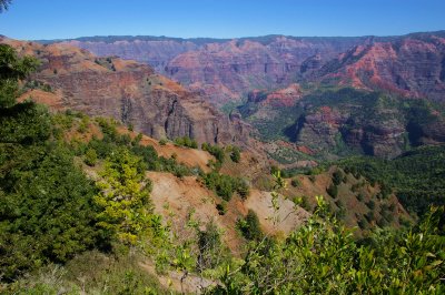 Waimea Canyon