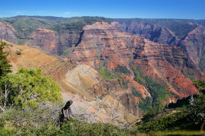 Waimea Canyon