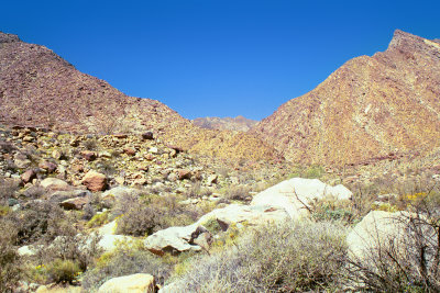 Palms Trail