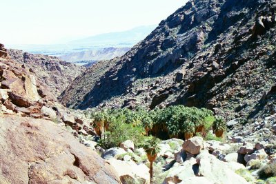 Palms Trail