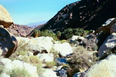 Palms Trail