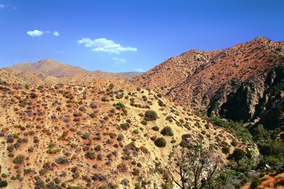 Hot Springs - Hesperia