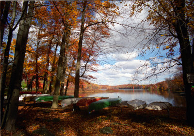 Cedar Lake