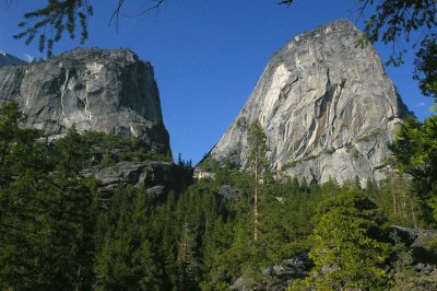 Liberty Cap