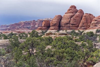 Canyonlands NP - Needles District