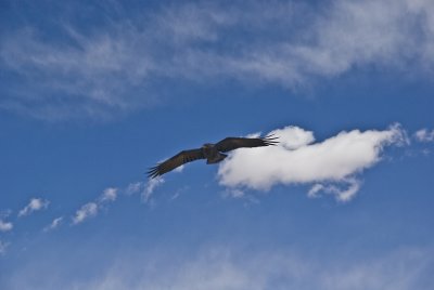 g6/24/745724/3/81374695.KBY2r6yV.jpg