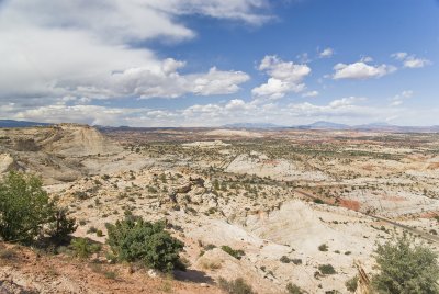 g6/24/745724/3/81374709.sZaG9u0o.jpg