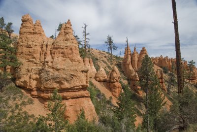 g6/24/745724/3/81463847.hzg2HD8x.jpg