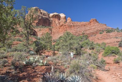 Cathedral Rock