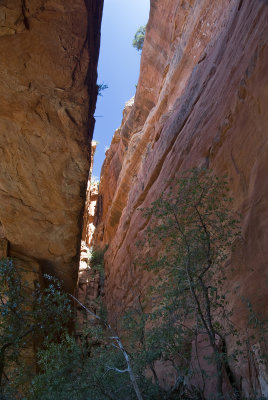 Arch View