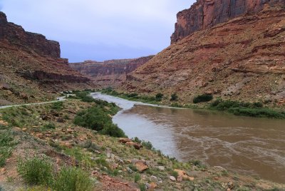 Morning In The Canyon