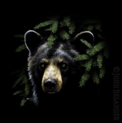 B-Bear Night Scene.jpg