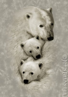 Tone-on Polar bears.jpg